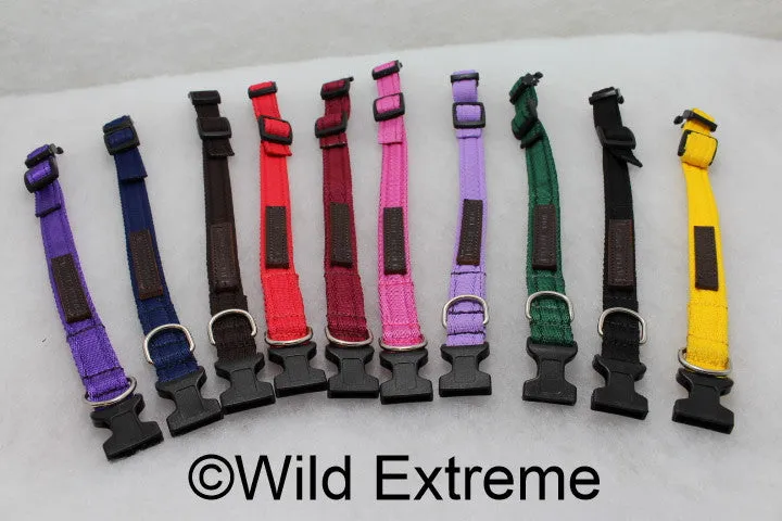 25mm Padded Webbing Dog Collar - Acetal Buckle (X Large)