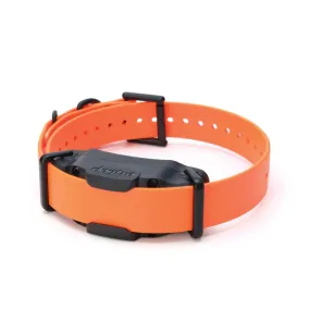 Dogtra 3500X Extra Collar