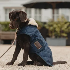 Kentucky Horsewear Dog Rug