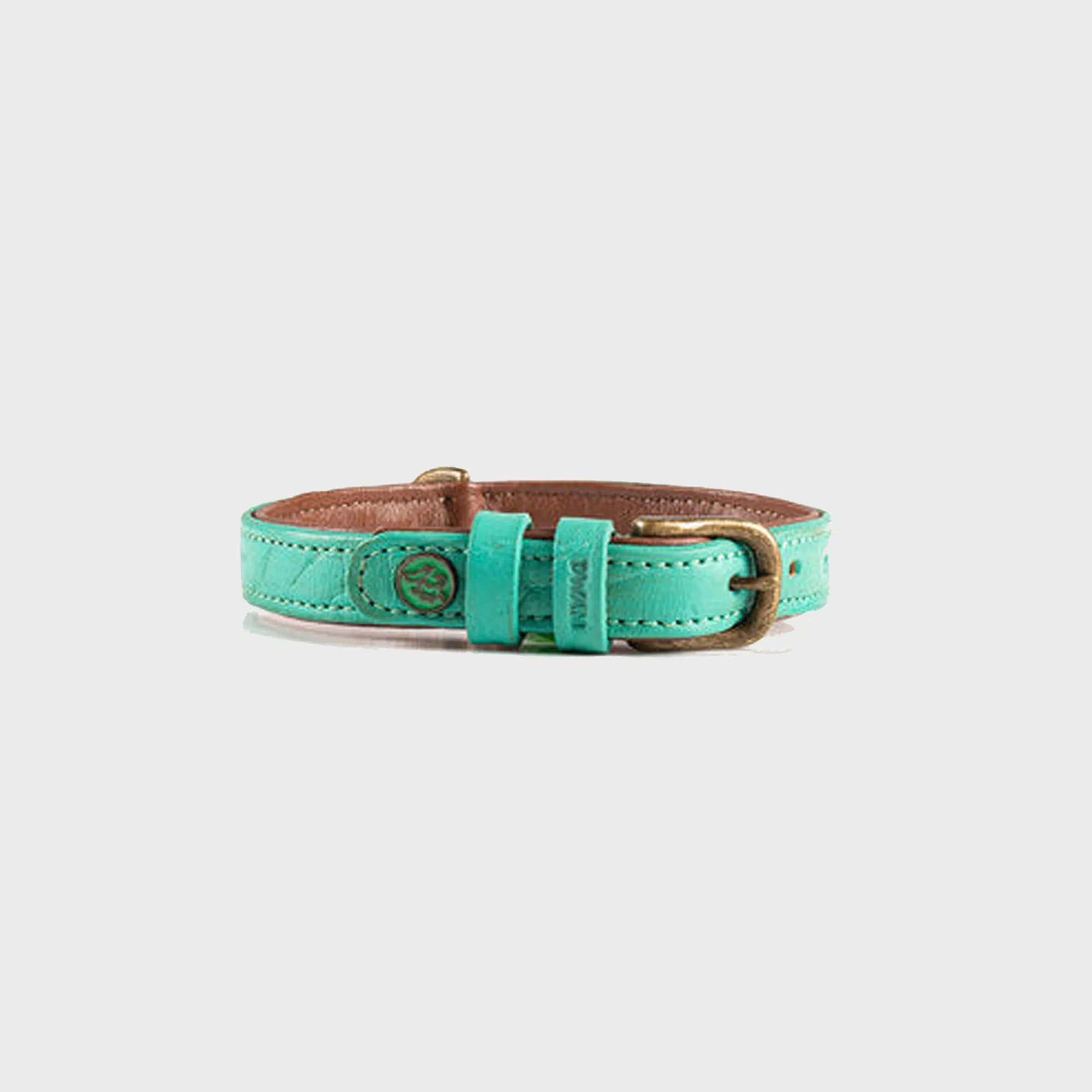 Leather Turquoise Rebel Dog Collar - Dog with a Mission