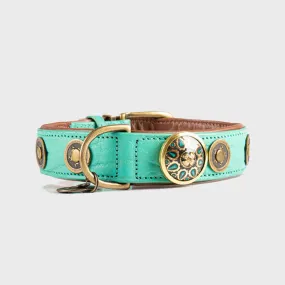 Leather Turquoise Rebel Dog Collar - Dog with a Mission