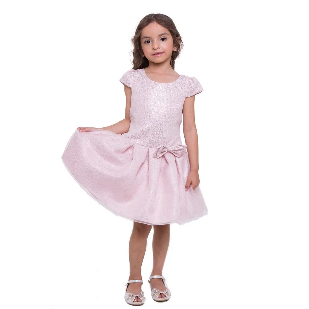 Little Girls Blush Organza Overlay Pleated Flower Girl Dress 2-6