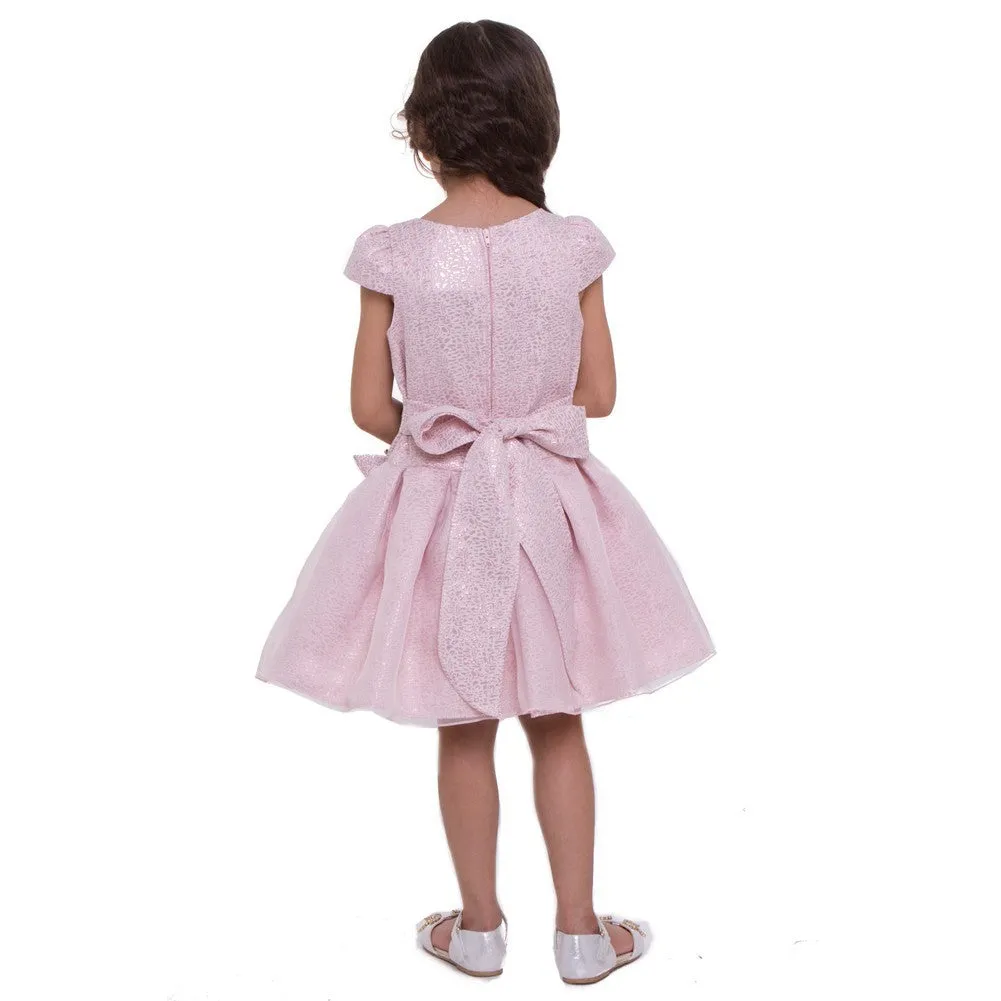 Little Girls Blush Organza Overlay Pleated Flower Girl Dress 2-6