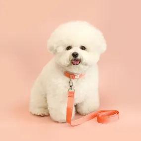 Makit Peach Coral Collar & Leash Set