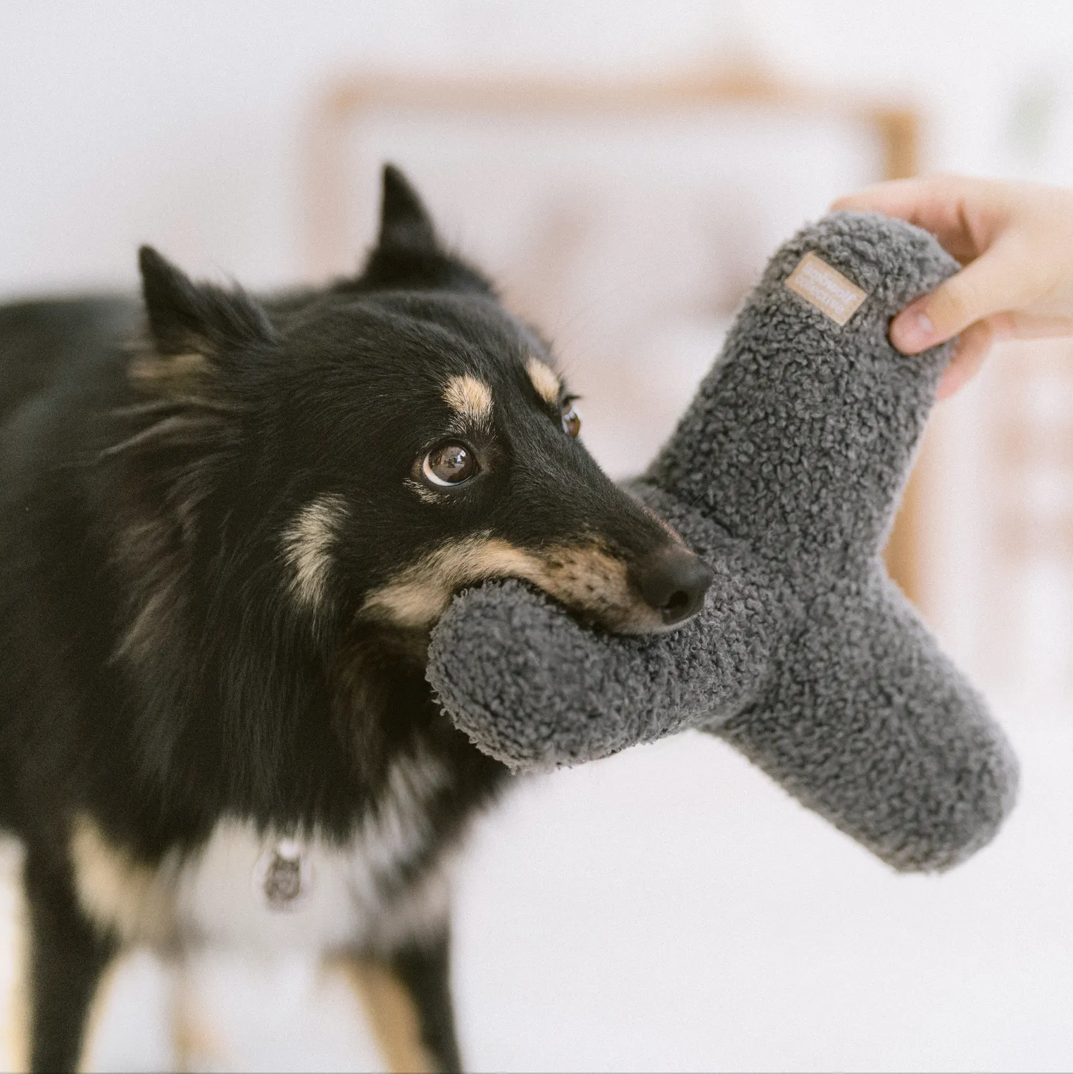 O BREUER | OVERSIZED DOG TOY