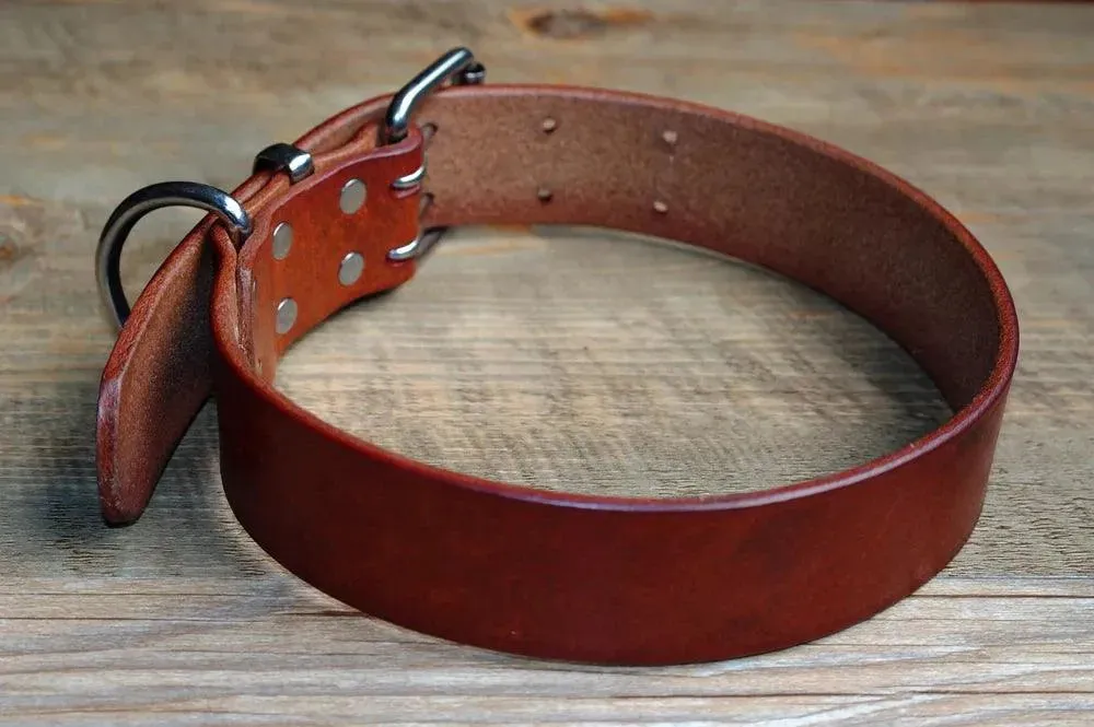 Premium Leather Dog Collars