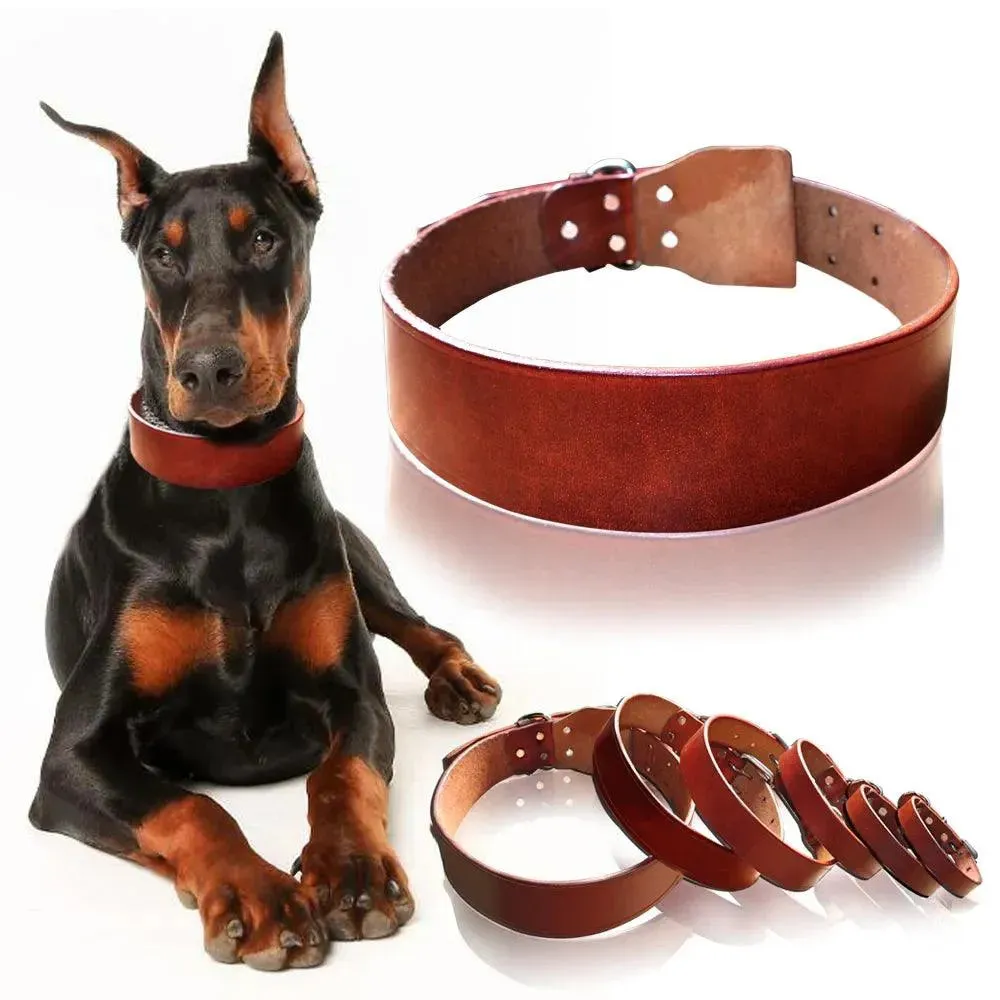 Premium Leather Dog Collars