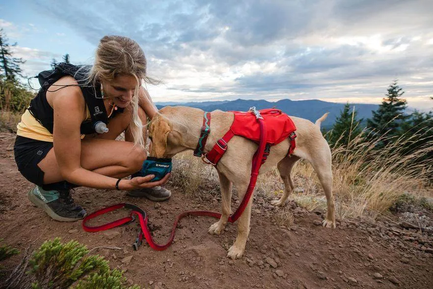 Ruffwear Flat Out Collar